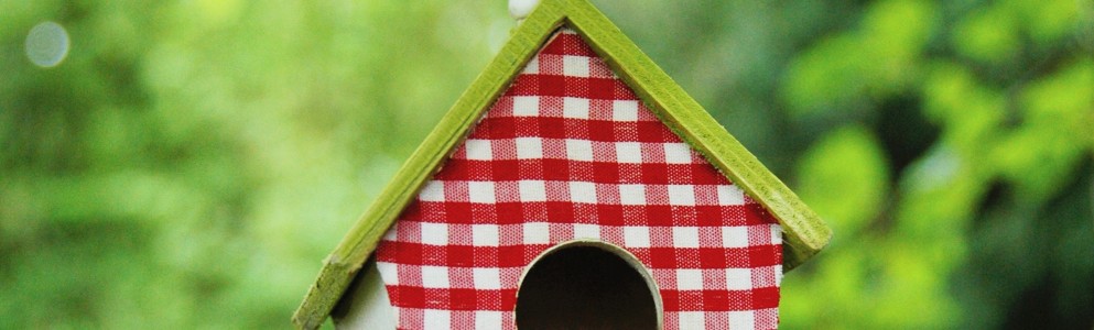 Ansicht Vogelhaus als Synonym für Bauen mit Ottillinger - ob klein, ob groß, Einzelleistung oder schlüsselfertig bauen